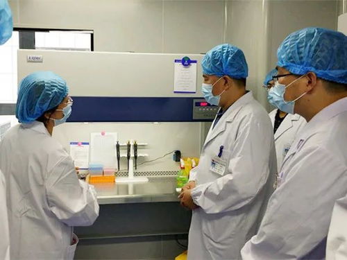 我市四家核酸檢測(cè)實(shí)驗(yàn)室全部建成投用，日最高檢測(cè)能力近五千人份