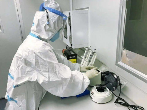 四會(huì)提供新冠病毒核酸檢測(cè)服務(wù)，最快3小時(shí)可出報(bào)告