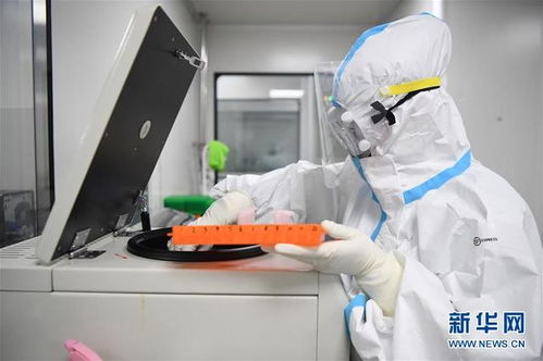 探訪第三方核酸檢測(cè)機(jī)構(gòu) 獨(dú)立檢驗(yàn)檢測(cè)服務(wù)的幕后英雄
